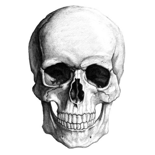 drawing-skull-4