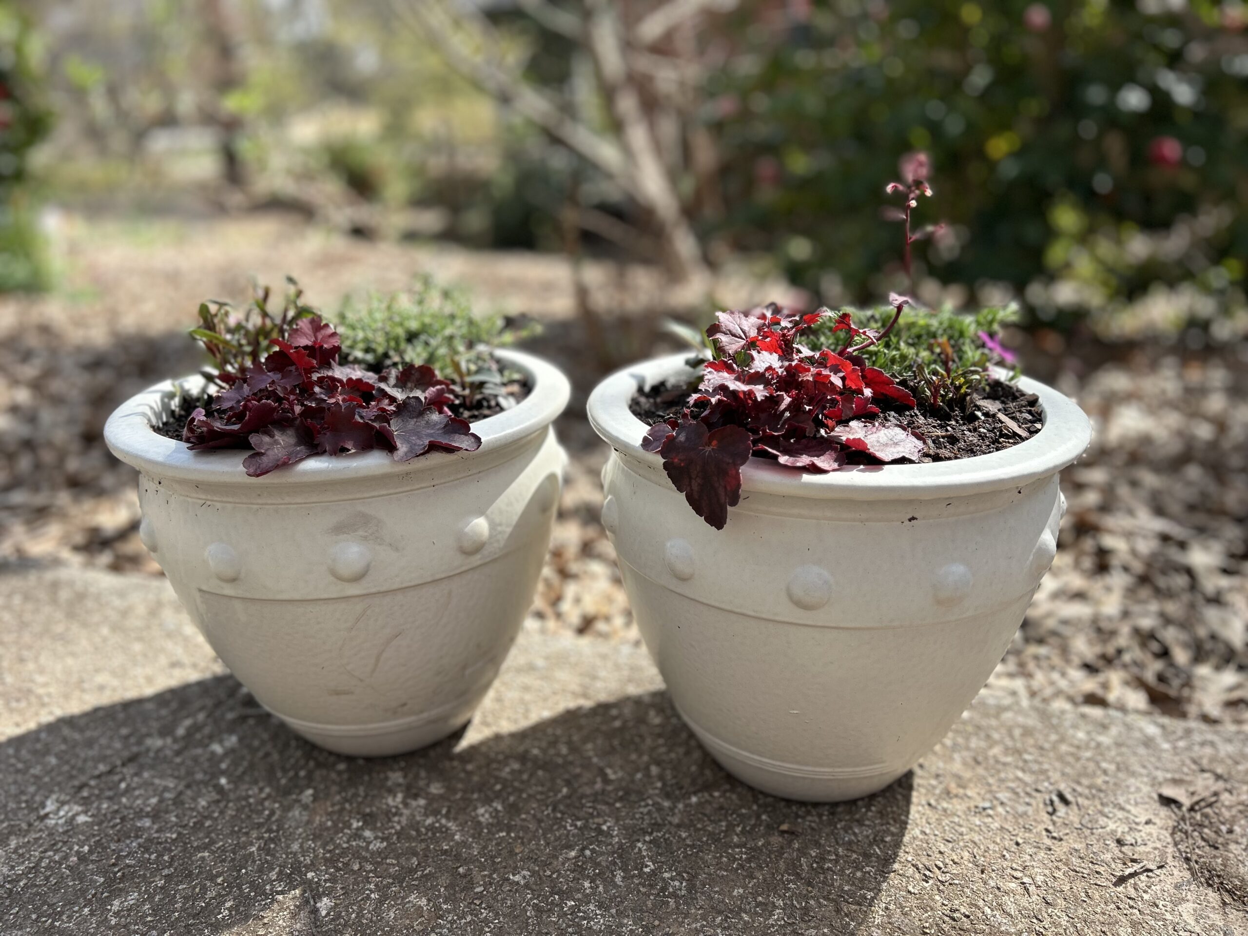 Perennial Patio Pots Raffle! - Image 3