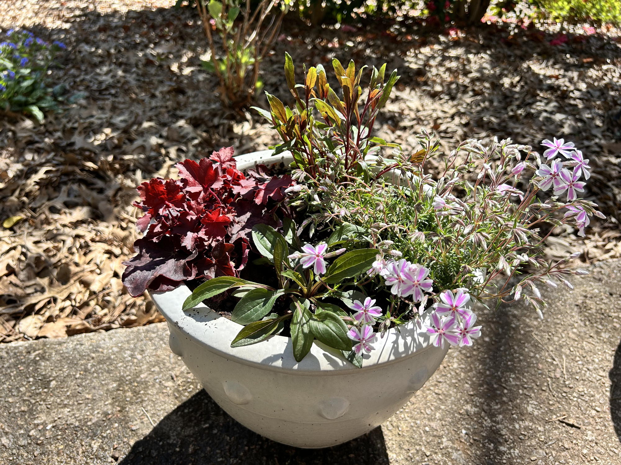 Perennial Patio Pots Raffle! - Image 6