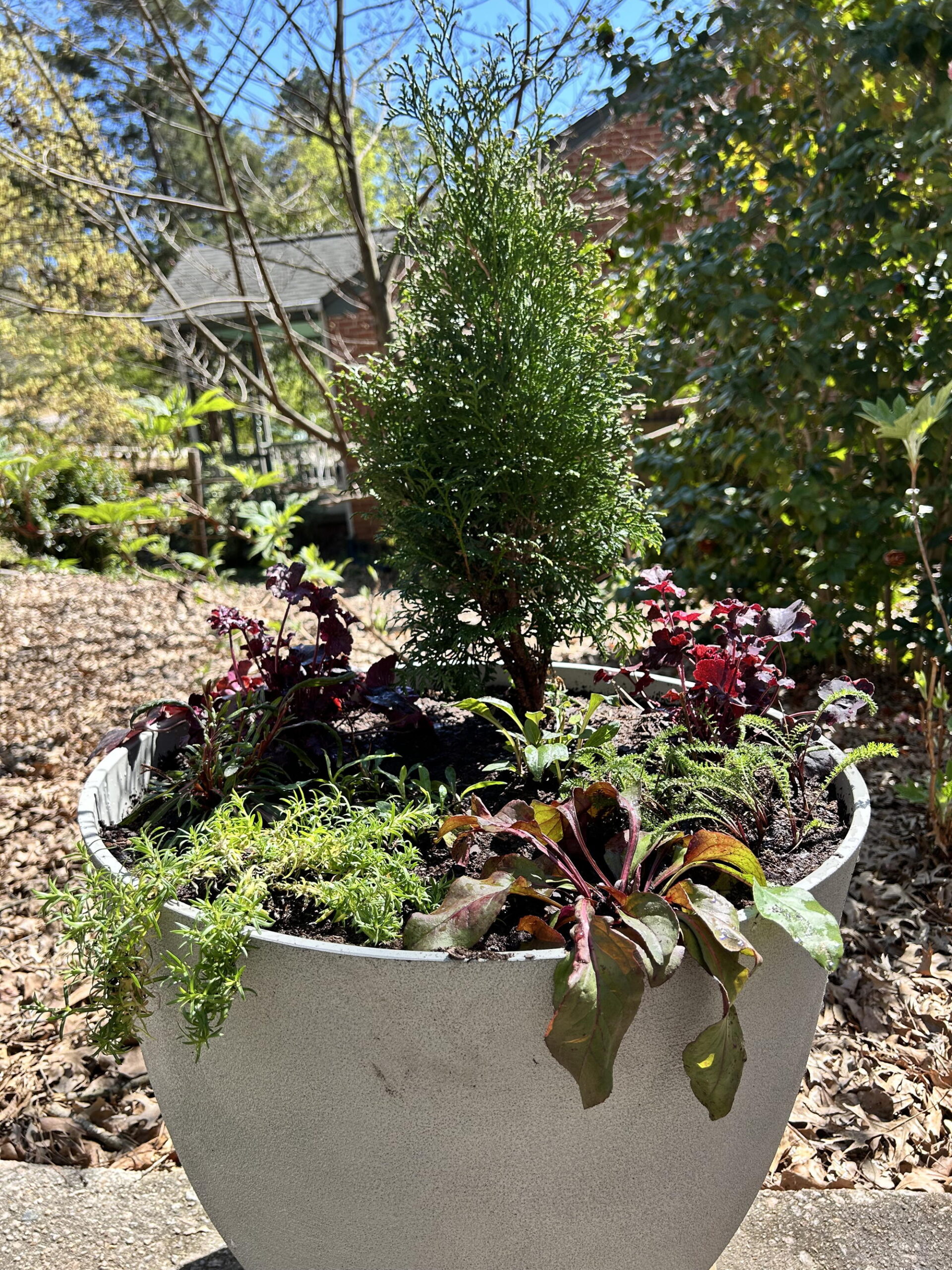 Perennial Patio Pots Raffle! - Image 5