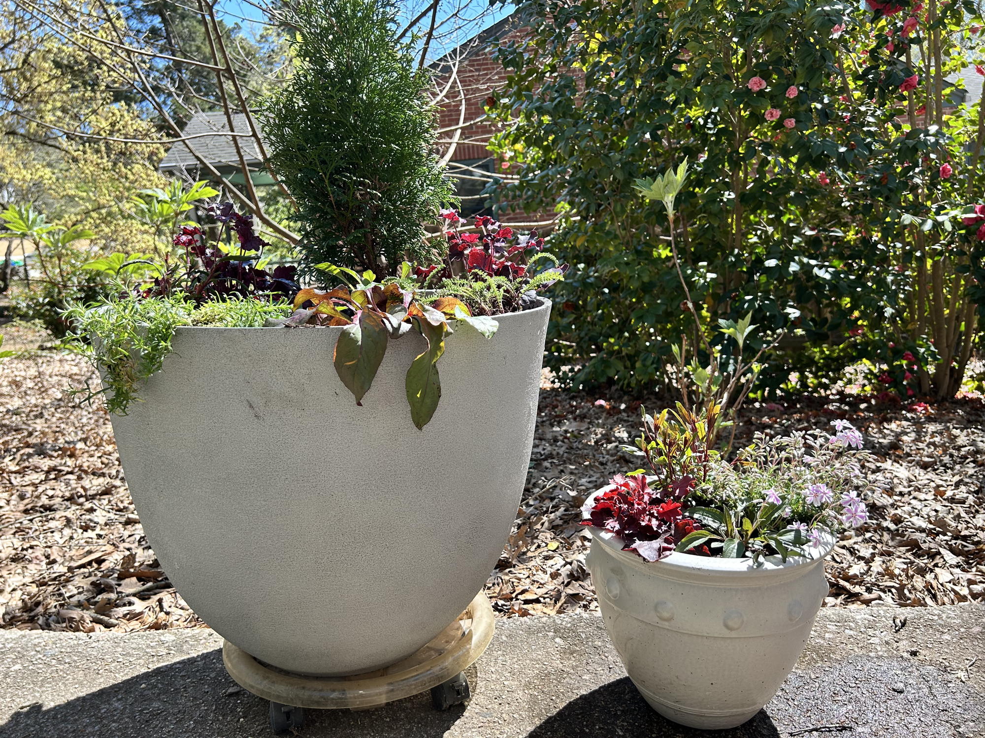 Perennial Patio Pots Raffle! - Image 4